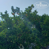 фото из отзыва ID 2700917