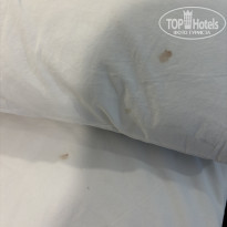 фото из отзыва ID 2700998