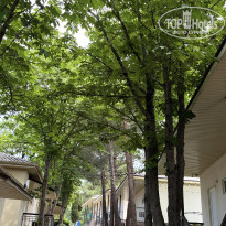 фото из отзыва ID 2701064