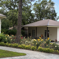 фото из отзыва ID 2701064