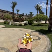 фото из отзыва ID 2701079