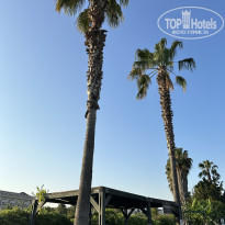 фото из отзыва ID 2701120