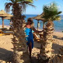 фото из отзыва ID 2701143