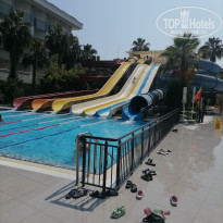 фото из отзыва ID 2701182