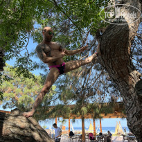 фото из отзыва ID 2701186