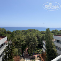 фото из отзыва ID 2701186