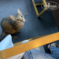 фото из отзыва ID 2701261