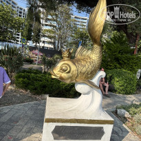 фото из отзыва ID 2701287