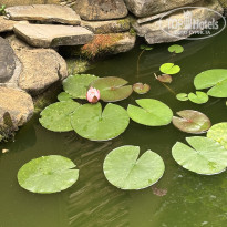 фото из отзыва ID 2701287