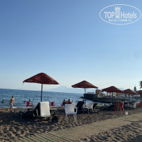 фото из отзыва ID 2701311