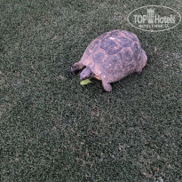 фото из отзыва ID 2701311