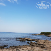 фото из отзыва ID 2701319