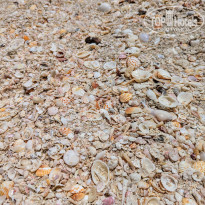 фото из отзыва ID 2701379