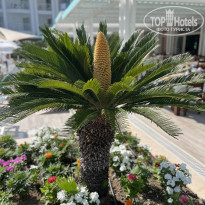 фото из отзыва ID 2701389