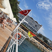 фото из отзыва ID 2701434