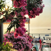 фото из отзыва ID 2701433