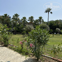 фото из отзыва ID 2701456