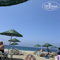 фото из отзыва ID 2701456