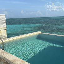 фото из отзыва ID 2701468