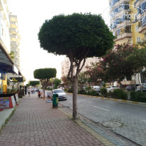 фото из отзыва ID 2701500