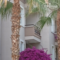 фото из отзыва ID 2701525