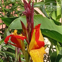 фото из отзыва ID 2701525