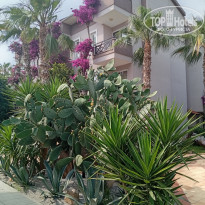 фото из отзыва ID 2701525