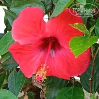 фото из отзыва ID 2701525