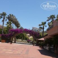 фото из отзыва ID 2701525