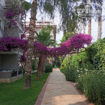 фото из отзыва ID 2701525