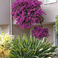 фото из отзыва ID 2701525