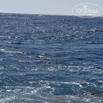 фото из отзыва ID 2701555