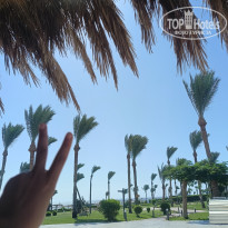 фото из отзыва ID 2701555