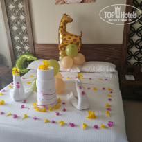 фото из отзыва ID 2701561