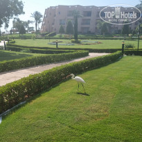 фото из отзыва ID 2701561