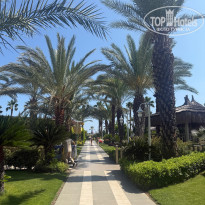 фото из отзыва ID 2701575