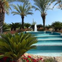 фото из отзыва ID 2701575