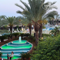 фото из отзыва ID 2701575