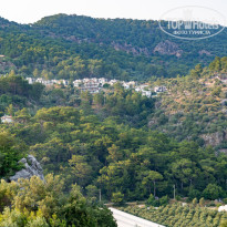 фото из отзыва ID 2701345