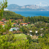 фото из отзыва ID 2701345