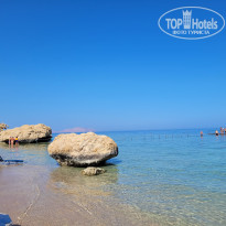 фото из отзыва ID 2701497