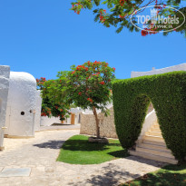 фото из отзыва ID 2701497