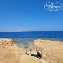 фото из отзыва ID 2701497