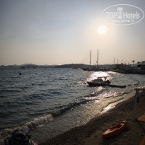 фото из отзыва ID 2701590