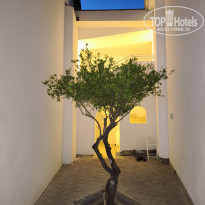 фото из отзыва ID 2701590