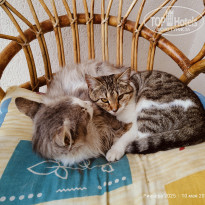 фото из отзыва ID 2701579