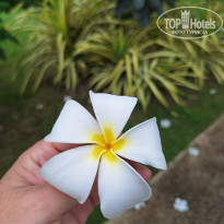 фото из отзыва ID 2701626