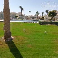 фото из отзыва ID 2701710