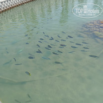 фото из отзыва ID 2701710