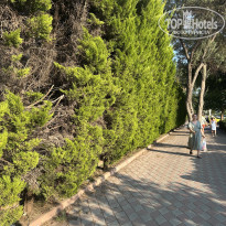 фото из отзыва ID 2701720